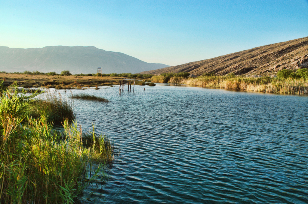 CUATRO CIENEGAS