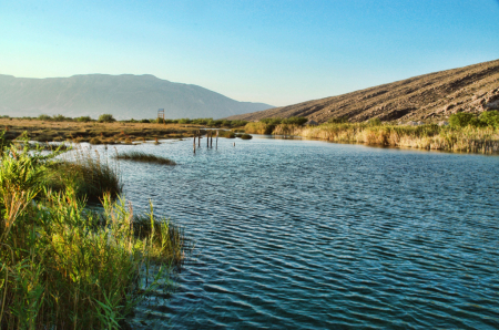 CUATRO CIENEGAS