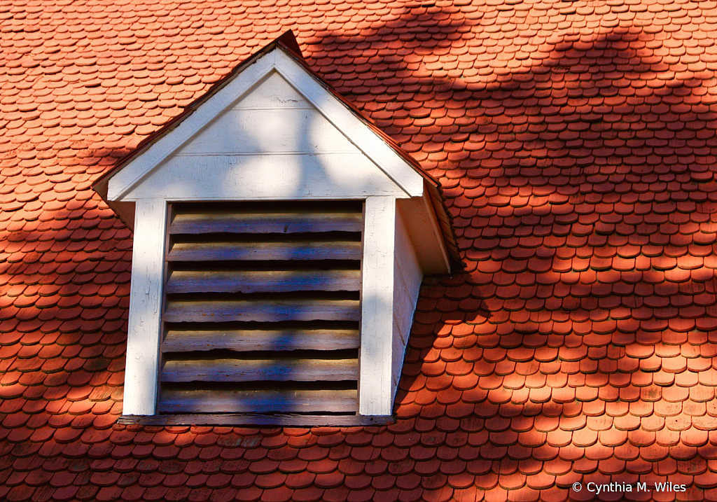 Mt. Vernon Roof Shadows