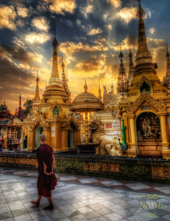 ~ ~ SHWEDAGON MONK ~ ~ 