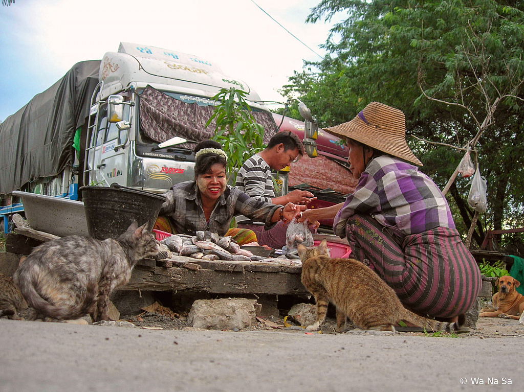 Smiling with cats.