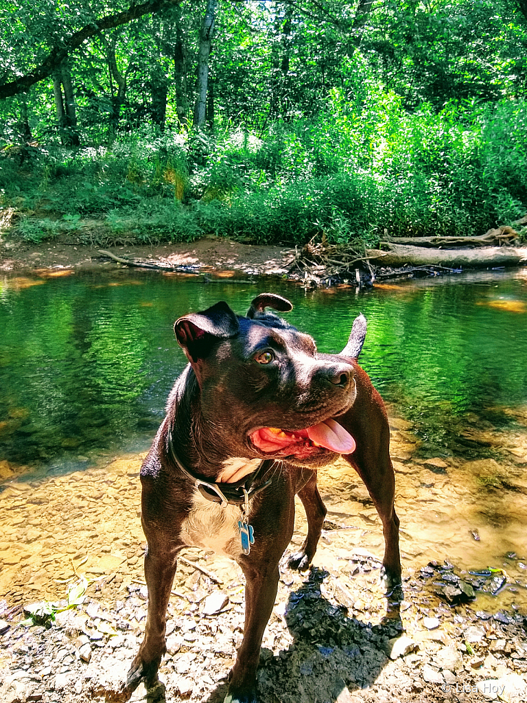 In Her Happy Place