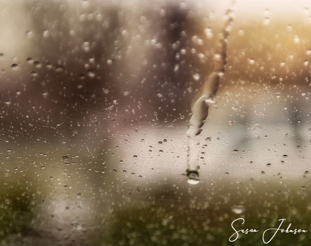 Rainy day - ID: 15834634 © Susan Johnson