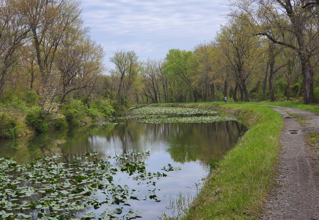 Walking the Canal