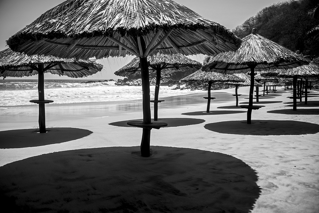 palapa shadows