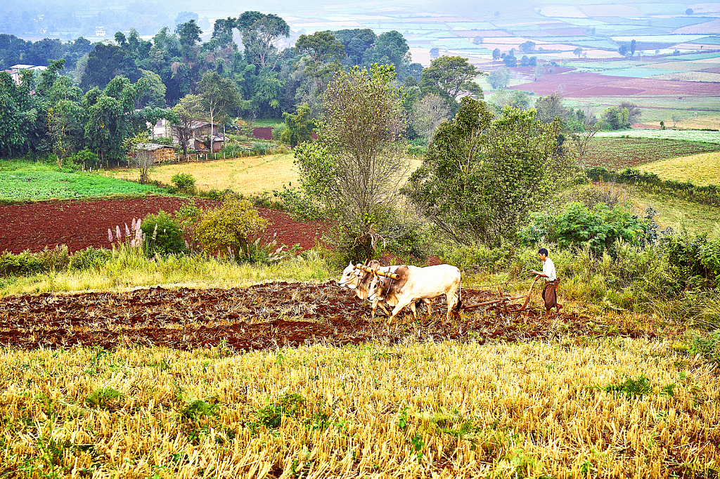 Farming for family