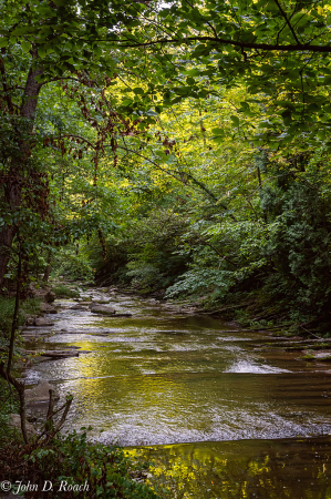 Morning at Cedar Creek