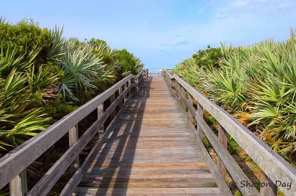 Boardwalk to the Sea