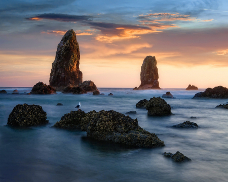 Oregon Coast