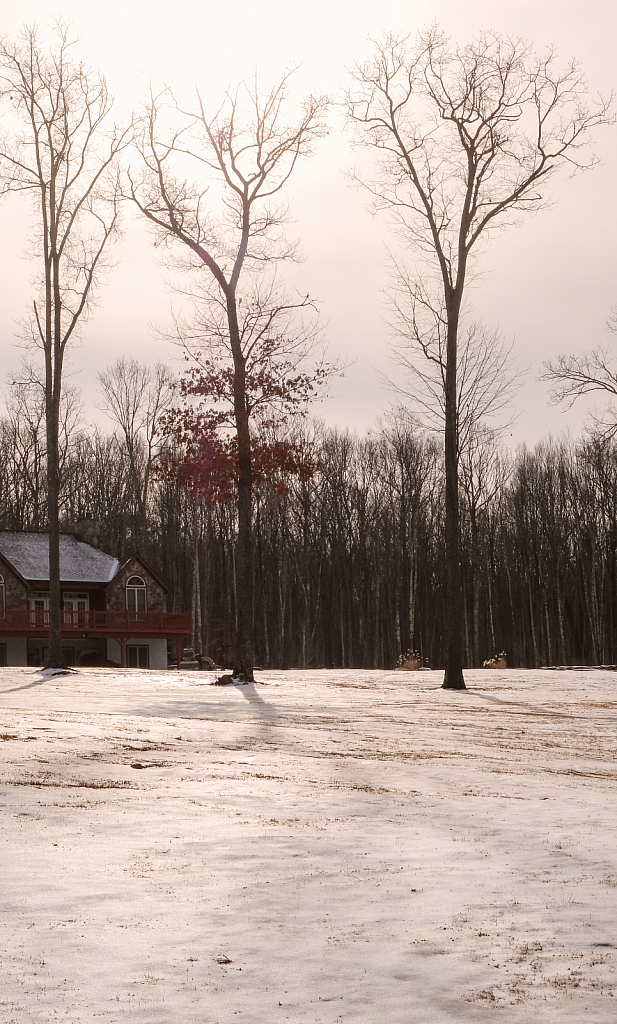 Winter Shadows