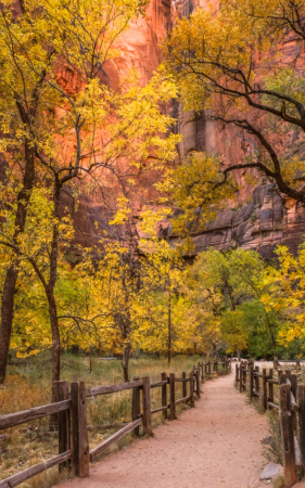 Riverside Walk Trail, Zion National Park