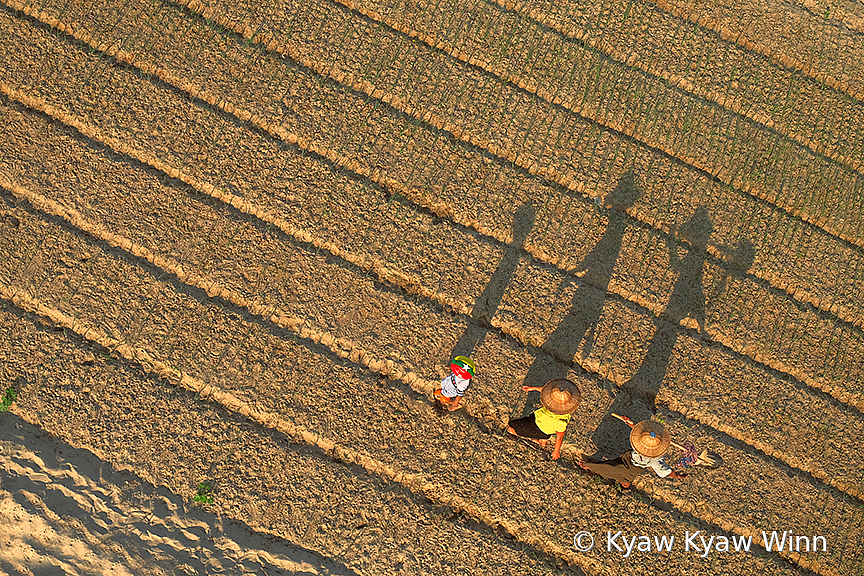 Shadows of Family - ID: 15835519 © Kyaw Kyaw Winn