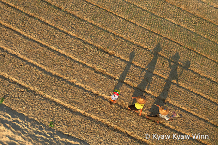 Shadows of Family