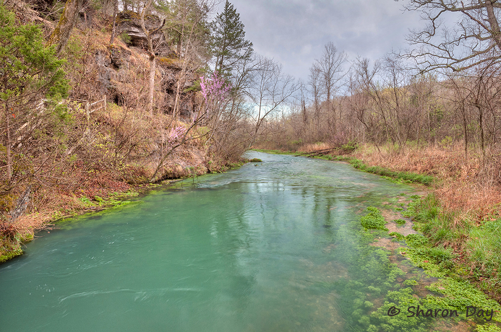 Spring Green