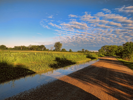 Shadows On Road, Reflections In Puddle 