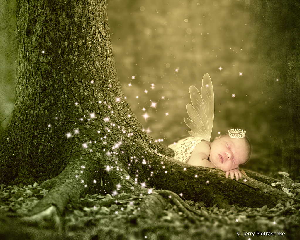 Fairy In The Forest