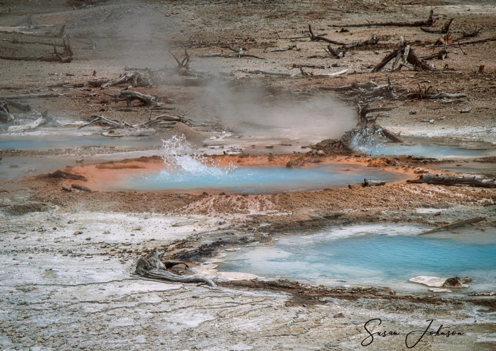 Yellowstone Geysers - ID: 15835980 © Susan Johnson