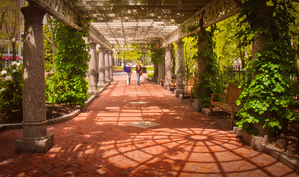 Pergola Shadows