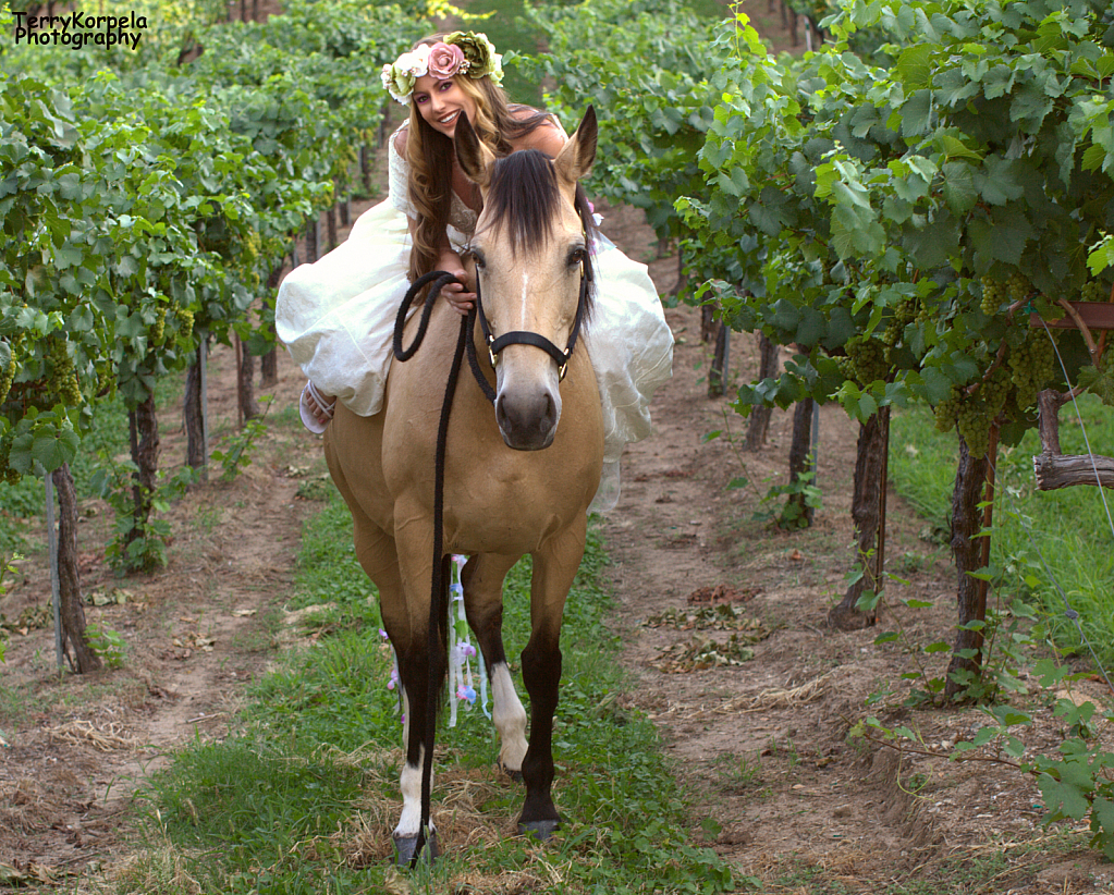 Winery Wedding - ID: 15836378 © Terry Korpela