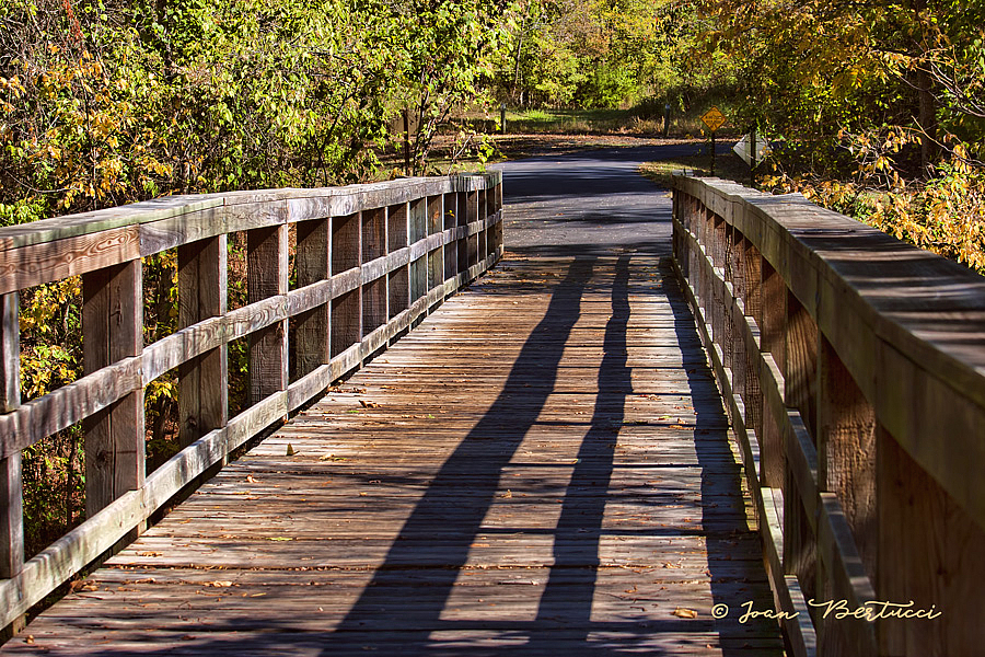 A Bridge in Arkansas