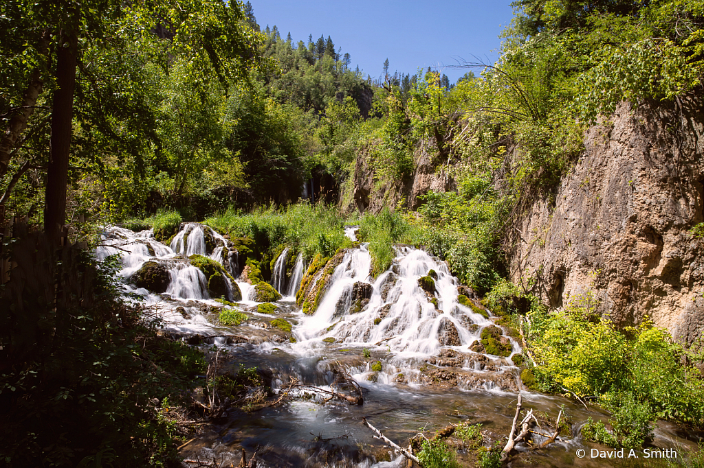 Black Hills Stream