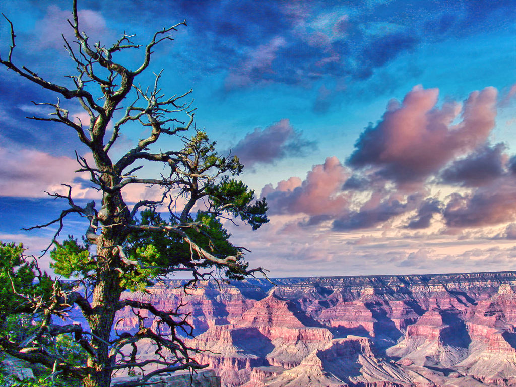 Grand Canyon Scene