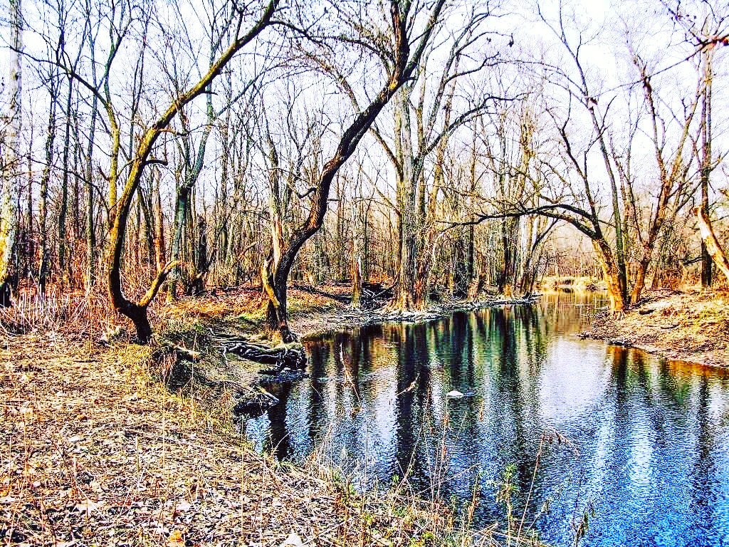 The Blanchard River near Findlay, Ohio 