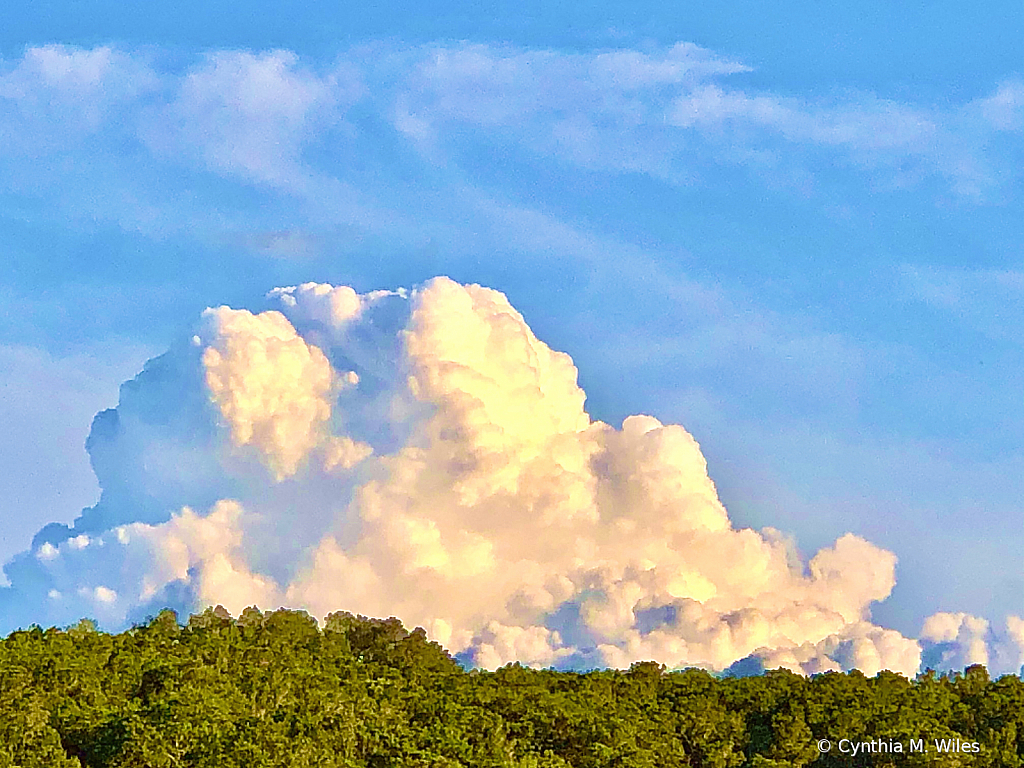 A Mountain of Clouds - ID: 15837312 © Cynthia M. Wiles