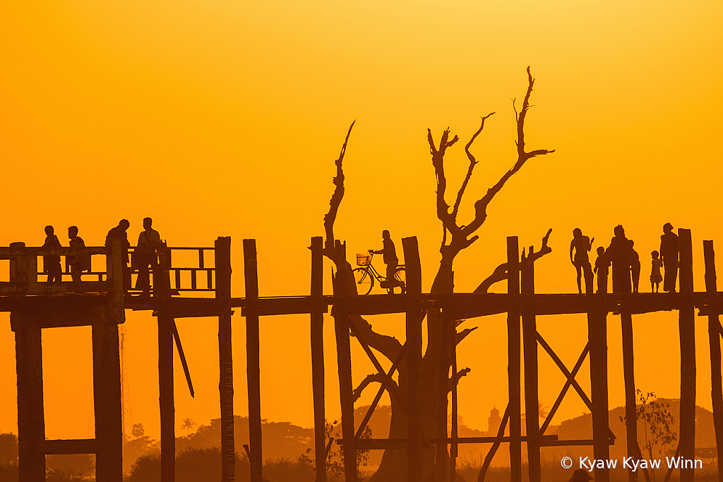 The Dry Tree and Bridge - ID: 15837380 © Kyaw Kyaw Winn