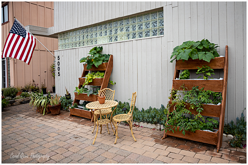 Vertical Garden