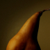 © Gregory LaGrange PhotoID # 15837859: H49A6742BPear