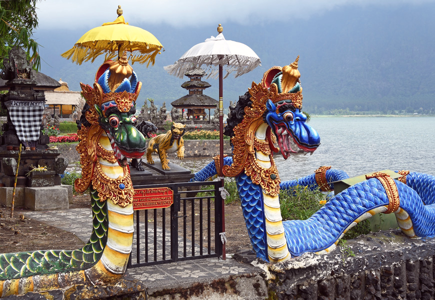 Dragons in Bali