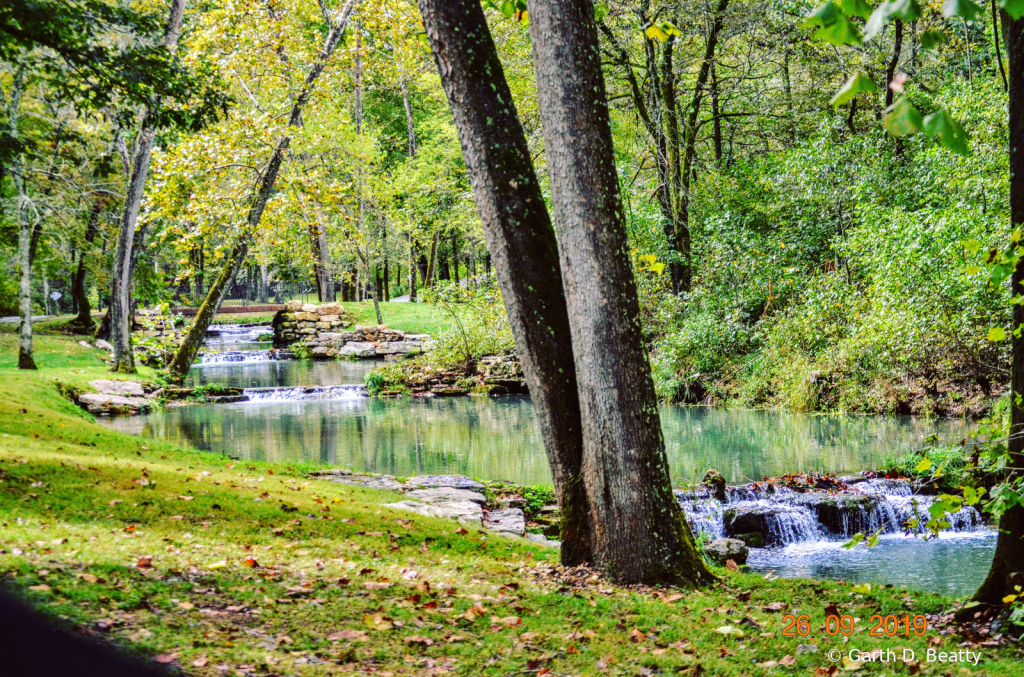 Stocked Stream in Dogwood Canyon, Mo.