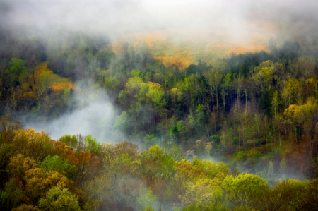 Arkansas Grand Canyon Misty Morning 