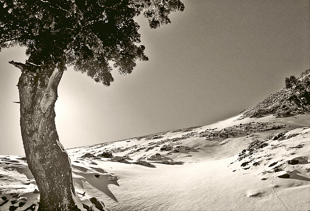 Frozen ridge! - ID: 15838567 © Elias A. Tyligadas