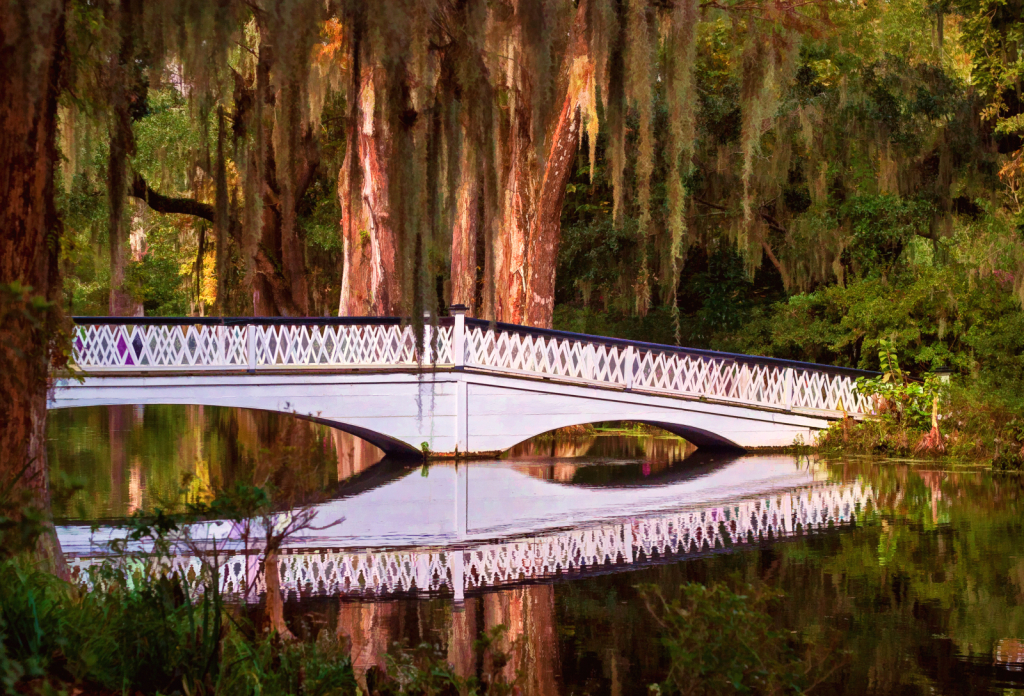 Magnolia Plantation Bridge