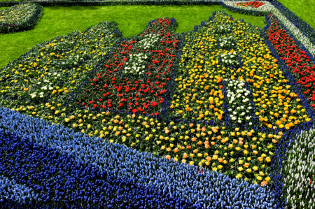Dutch Flower Houses