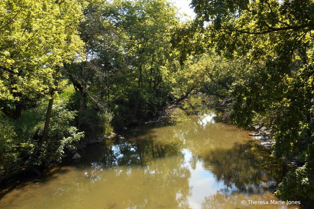 Greenville Creek