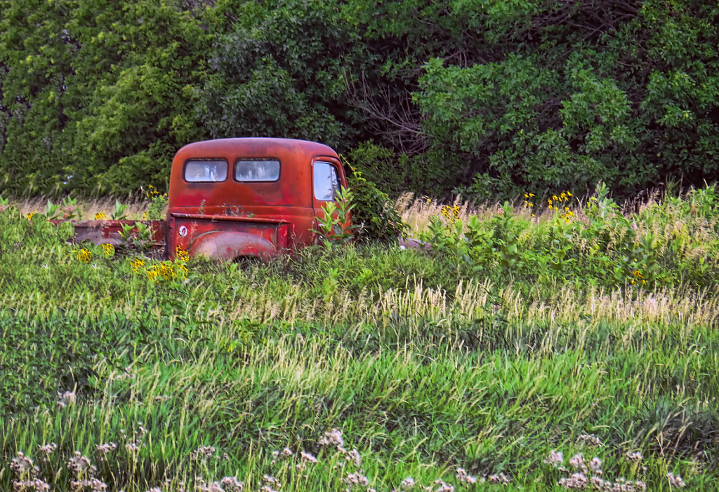 Left In The Field