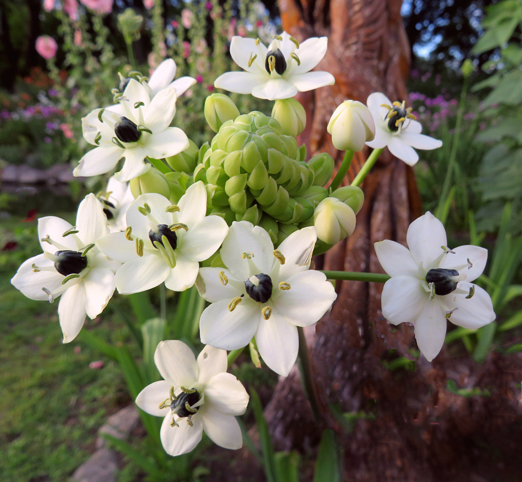 New Plant At East Park