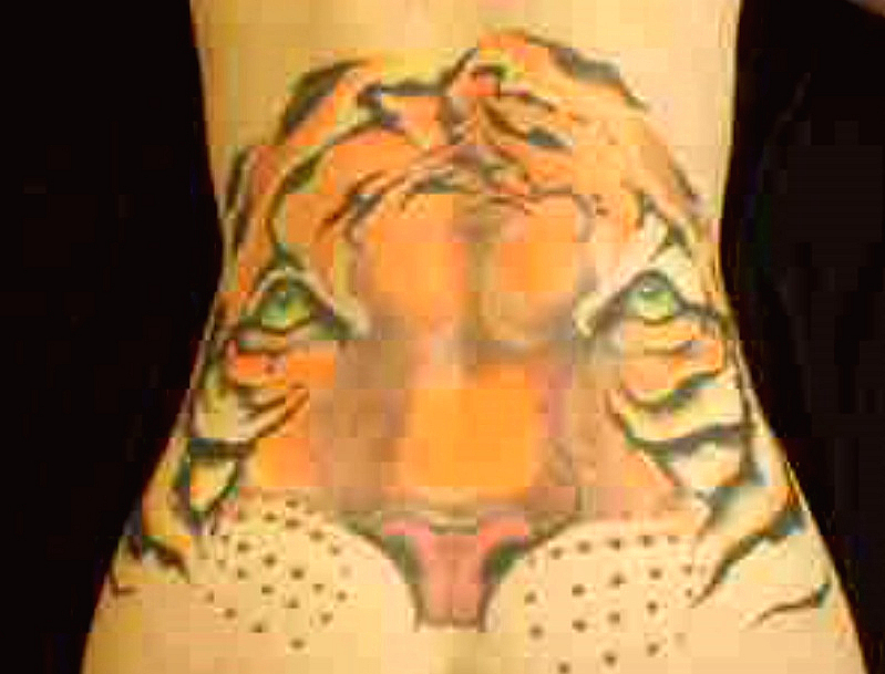 Tiger-butt