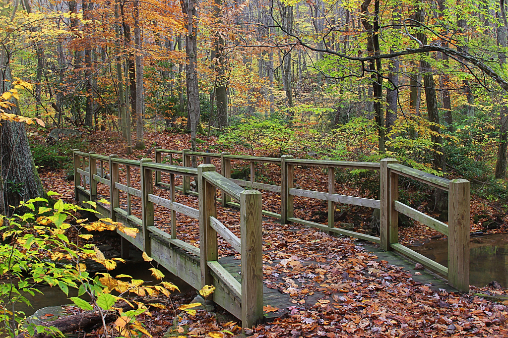 Autumn Footbridge