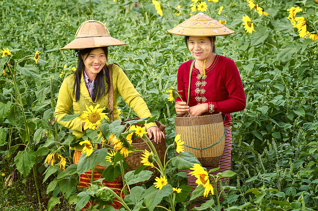 Happy farm life