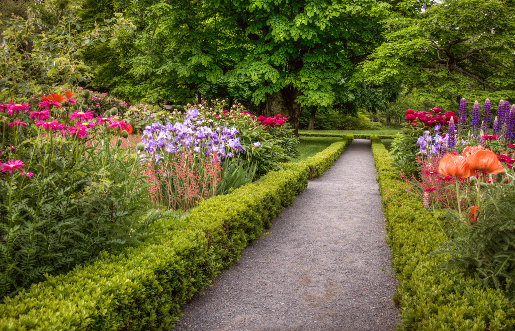 Summer Garden at Peacefield