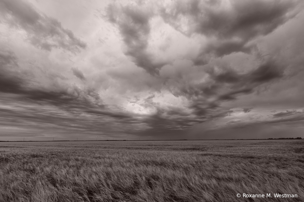 Storms across the wheatfields