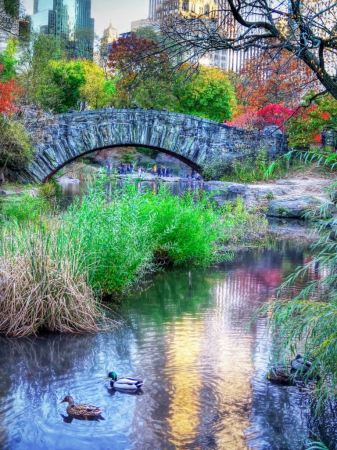 Gapstow Bridge, Central Park NYC