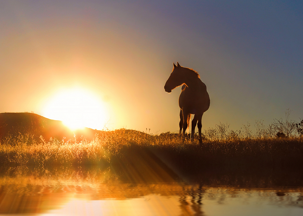 Daybreak