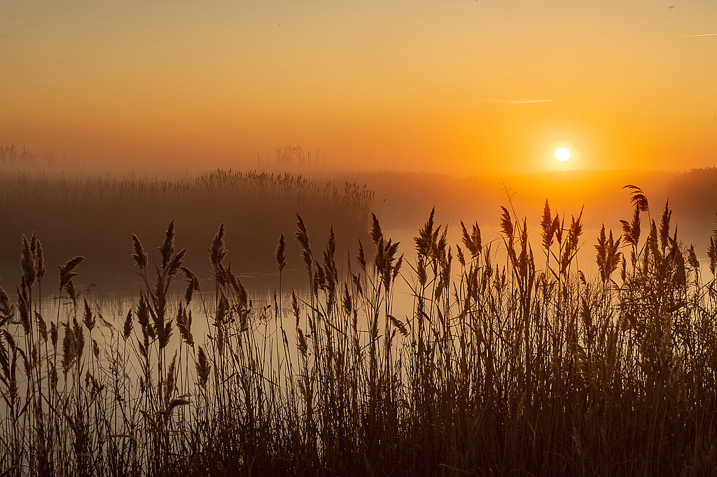 First Light- Bombay Hook