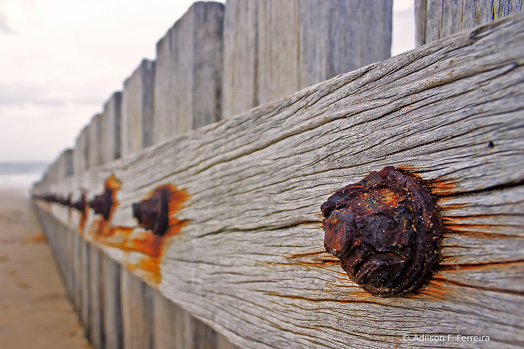 A fence on the beach