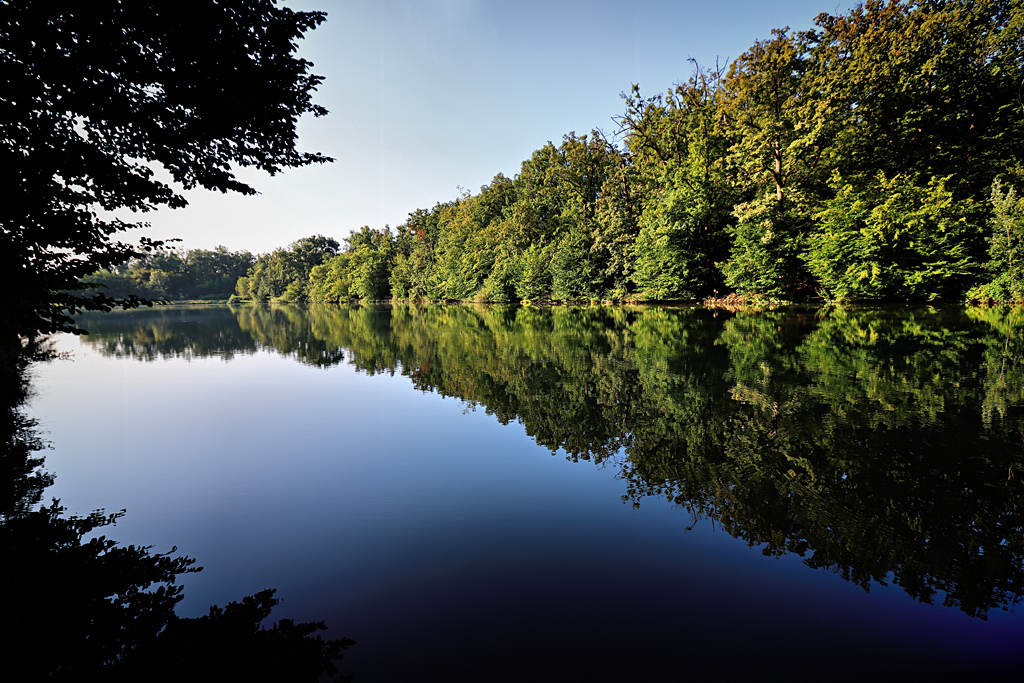 Down by the Lake